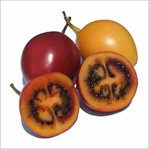 sorbet tomate de tamarilo